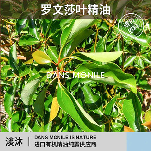 罗文莎叶精油植物蒸馏萃取芳香扩香调香原料小样