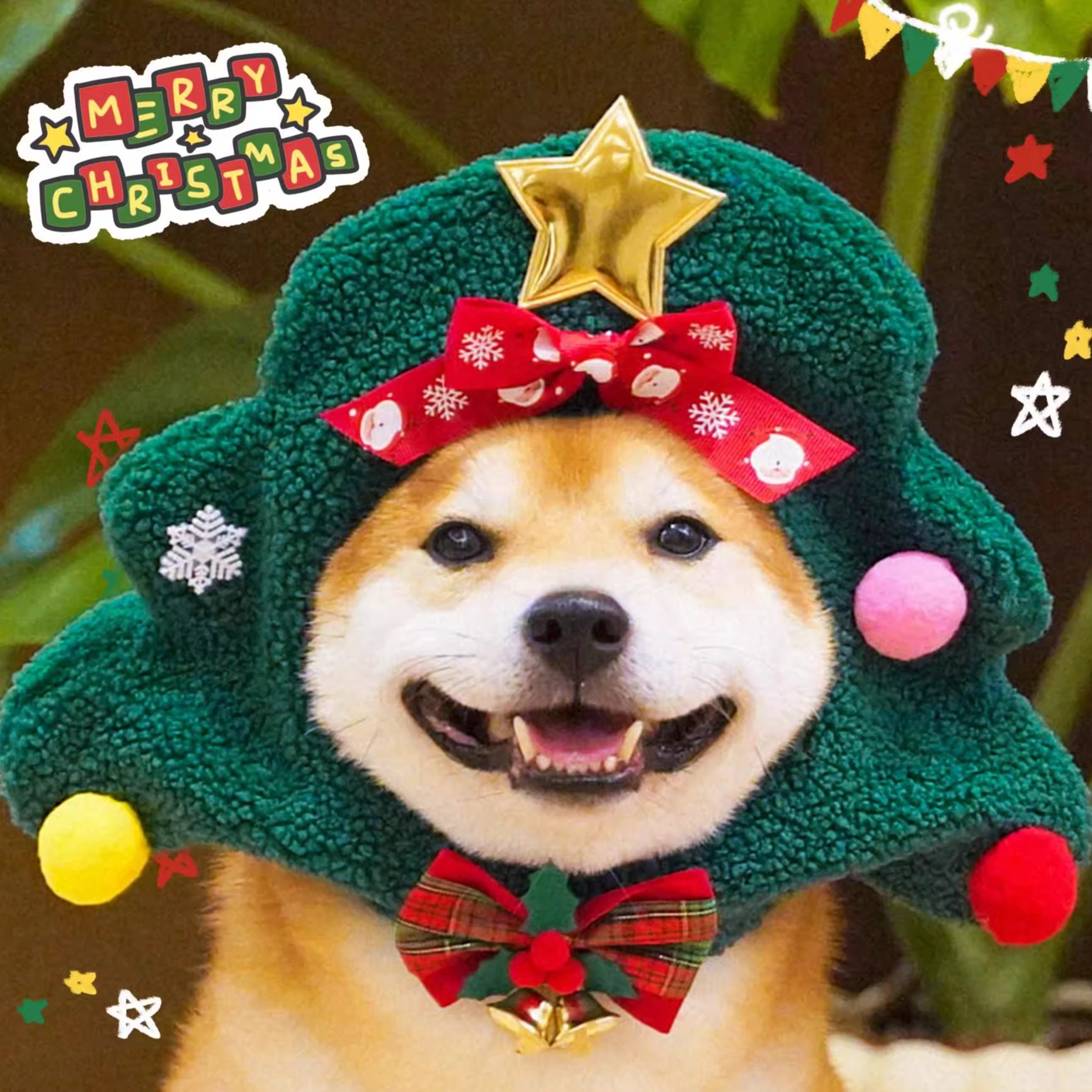 狗狗可爱圣诞帽围脖宠物圣诞围巾拍照搞怪配饰柴犬柯基雪纳瑞猫咪,宠物/宠物食品及用品,帽子,淘宝优惠券,粉丝福利购,淘宝优惠卷