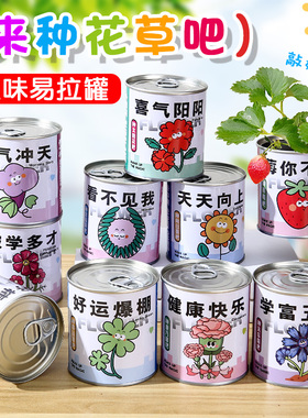 儿童种植罐头小盆栽幼儿园神奇桌面好养种子学生奖品创意趣味绿植