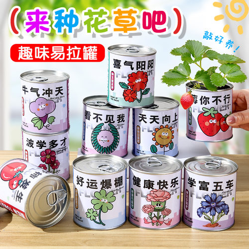儿童种植罐头小盆栽幼儿园神奇桌面好养种子学生奖品创意趣味绿植