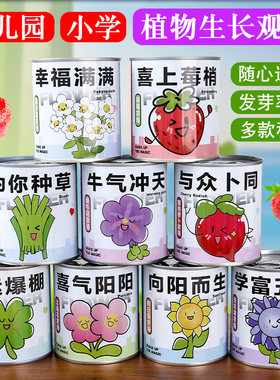 儿童种植罐头易拉罐盆栽学生期末奖品幼儿园好养种子创意趣味绿植