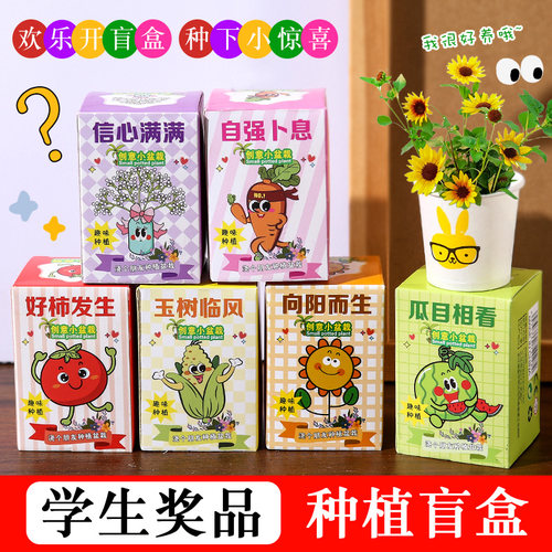 学生奖品迷你植物盆栽批发幼儿园儿童实用创意礼物全班奖励活动