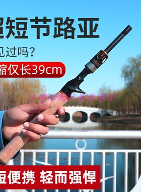 鑫天威路亚路滑并继插节竿抛竿