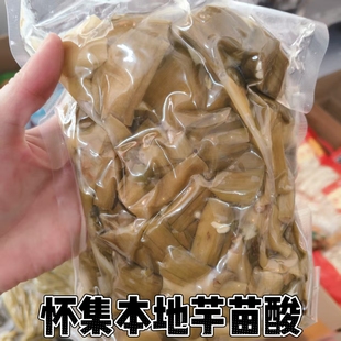 怀集本地酸芋苗新鲜腌制咸菜芋苗梗芋蒙芋荷杆正宗农家开胃下饭