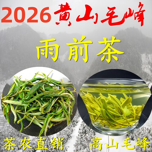雨前绿茶黄山毛峰高山土茶叶茶农