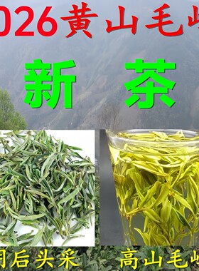 黄山毛峰土种茶叶安徽绿茶高山茶