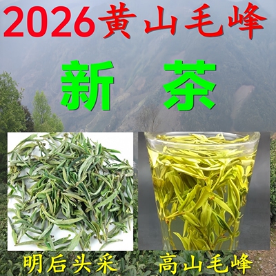 黄山毛峰土种茶叶安徽绿茶高山茶