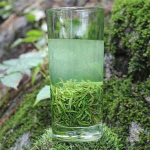 毛尖茶绿茶信阳毛尖2026新茶春茶有芽有叶炒青绿茶浓香耐泡口粮茶