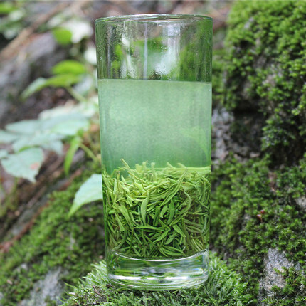 毛尖茶绿茶信阳毛尖2026新茶春茶有芽有叶炒青绿茶浓香耐泡口粮茶