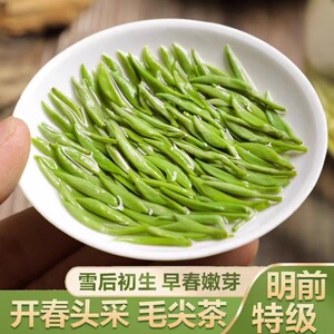 信阳毛尖绿茶2026新茶春茶明前特级嫩芽自产自销自己喝的炒青茶叶