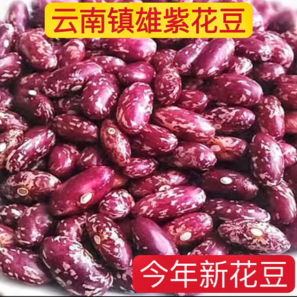 干货新花豆5斤红豆酸汤四季豆紫花豆酸菜豆米香糯云南昭通土特产