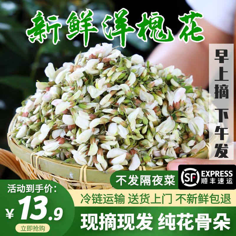 2026年新鲜洋槐花现摘现发农家野生蔬菜花骨朵苞4斤刺杨槐花蒸菜