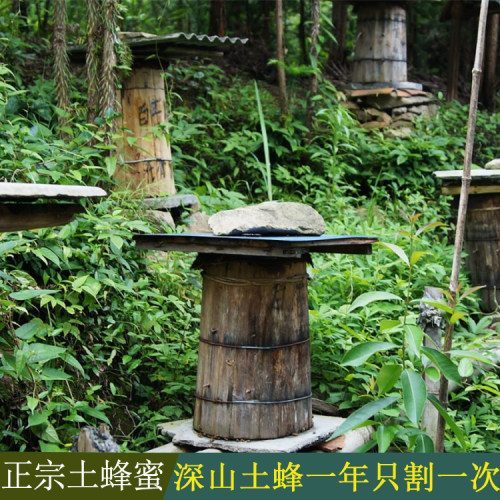 秦岭深山木桶土蜂蜜纯天然百花蜜
