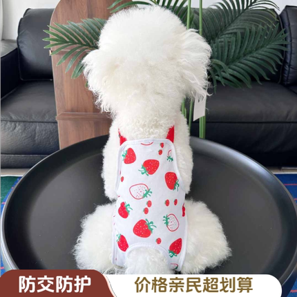 大狗生理裤母狗经期防交配宠物生理裤金毛女狗发情姨妈裤卫生护垫
