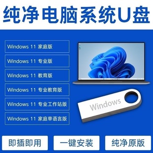 电脑纯净版pe一键重装系统u盘win7win10win11