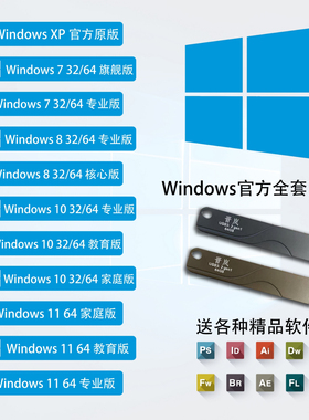 晋岚系统重装固态u盘Windows11装机win10一键PE纯净系统安装重装