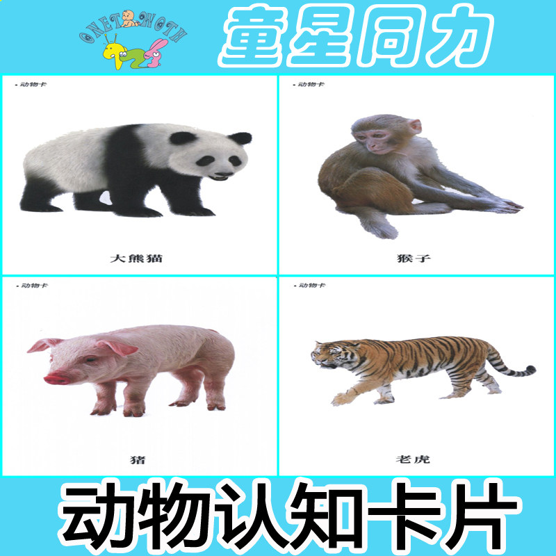 初级动物认知实操卡片 自闭症儿童语言发育迟缓 康复训练教学用具