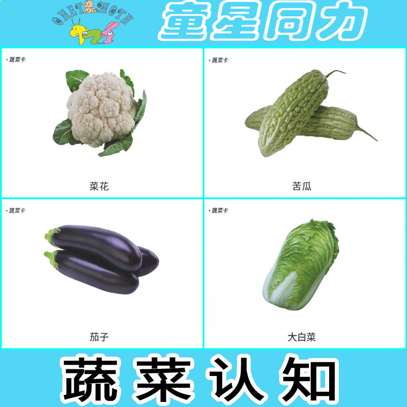 蔬菜自闭症语言迟缓康复训练卡片