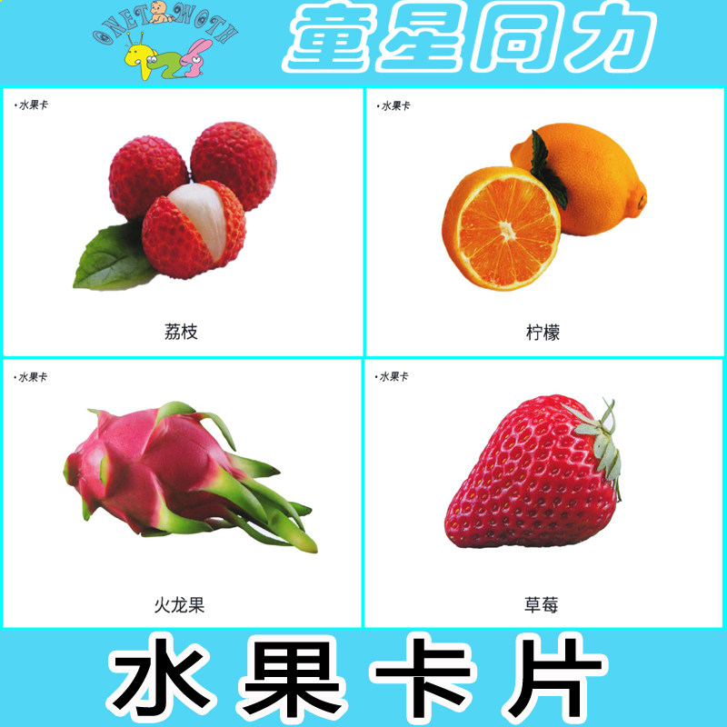 水果认知卡片 婴幼儿童孤独自闭症ABA语言迟缓训练康复教学用具