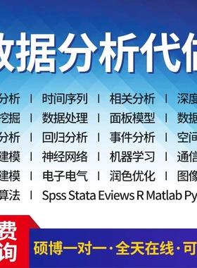 SPSS数据分析服务eviews实证stata计量meta医学R代做amos问卷调查