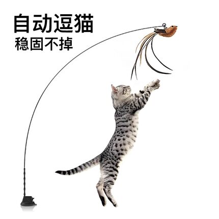 逗猫棒带吸盘自动逗猫自嗨解闷猫咪玩具长杆鸟羽毛替换头悬挂玩具
