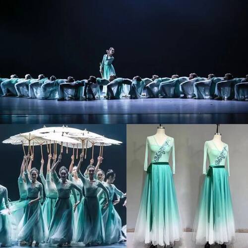 古典舞蹈服女练功服雨涧春行图同款飘逸大裙摆民族舞中国风演出服