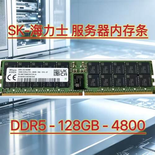 海力士DDR5128G4800RDIMM