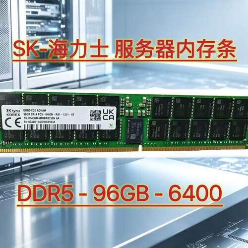 海力士DDR596GECC服务器内存