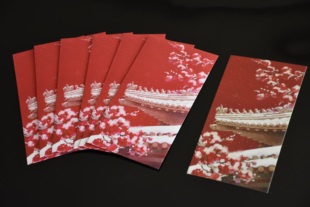 细语灯前原创插画【晴雪梅花】红包利是封春节过年压岁钱