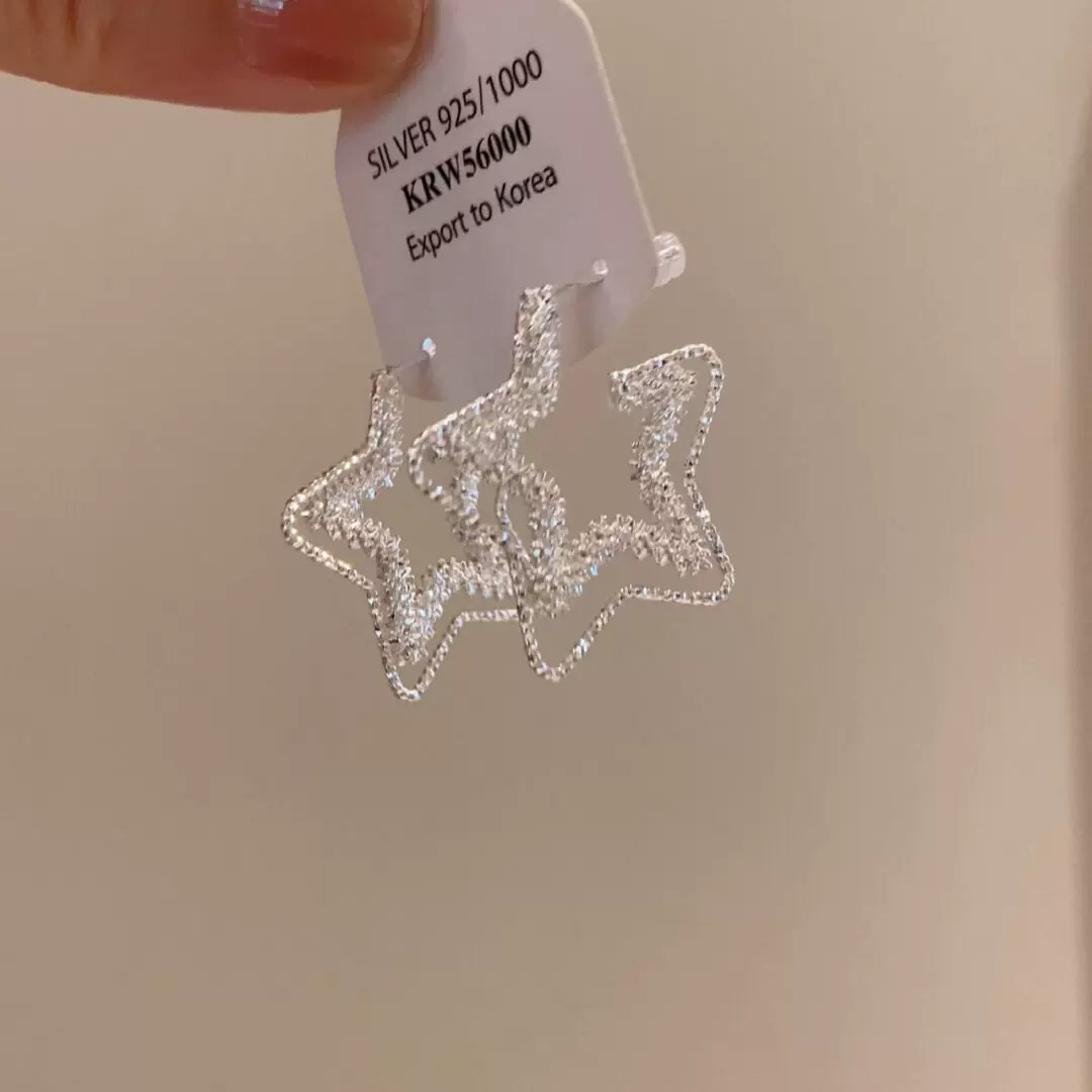 星星碎银耳钉小众高级感轻奢小众