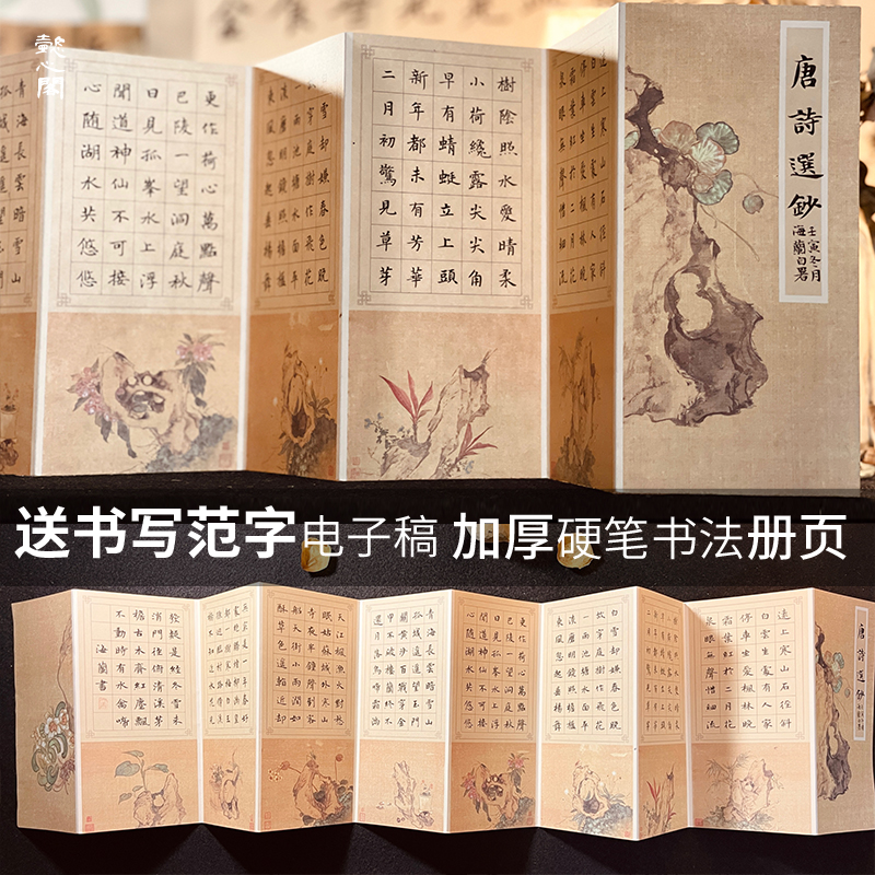 懿心阁硬笔书法作品纸古风