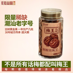 广东汕头特产觅见山田特级话梅王古法日晒大颗料话梅青梅果脯手信