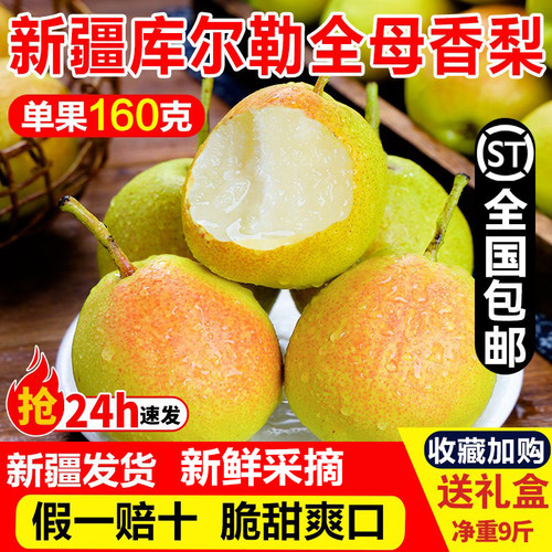 新疆发货库尔勒香梨10斤