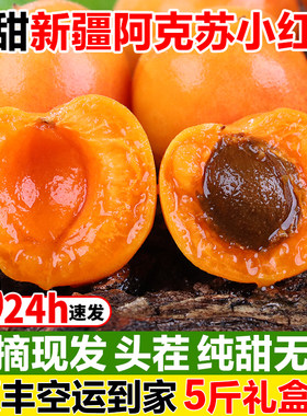 新疆小红杏当季吊干杏鲜杏哈密小黄杏蜜杏纯甜杏子新鲜水果小白杏