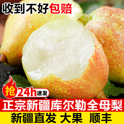 正宗新疆库尔勒香梨全母梨子新鲜应当季水果孕妇特级整箱10斤包邮