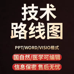 科研技术路线图代画国自然课题研究申报技术路线图框架图绘图制作