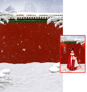新年儿童古装拍照背景布影楼摄影红色宫墙背景纸女童古装故宫雪景