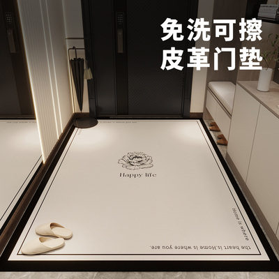 DMF入户门地垫轻奢高级感免洗防滑PVC入户玄关脚垫门垫进门家用