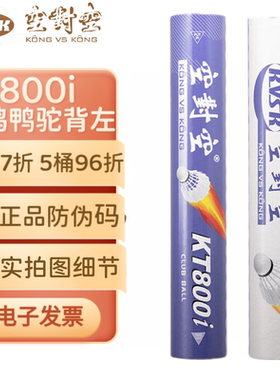 空对空羽毛球KT800i鹚鸪鸭毛羽球耐打羽毛球子羽毛球俱乐部用球