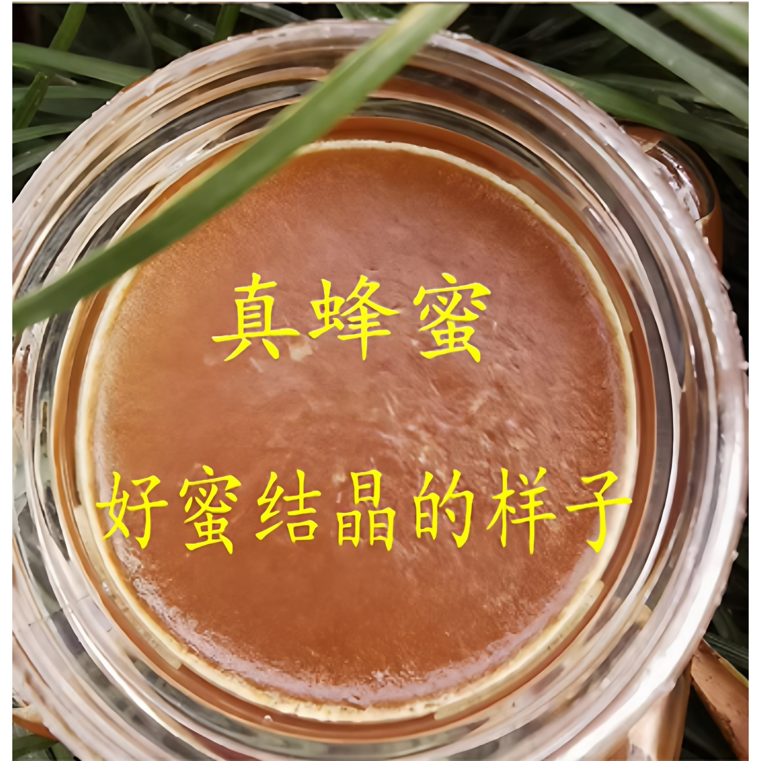 蜂蜜纯正天然野生土蜂蜜农家自产百花蜜正品木桶蜜成熟蜜结晶蜂蜜