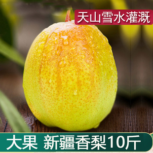 新疆库尔勒香梨嫁接10斤带箱新鲜现摘水果整箱当季梨子