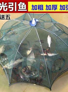 地网鱼笼鱼网大鱼神器大鱼八角笼阵鱼伞笼型虾笼网河里抓黄鳝