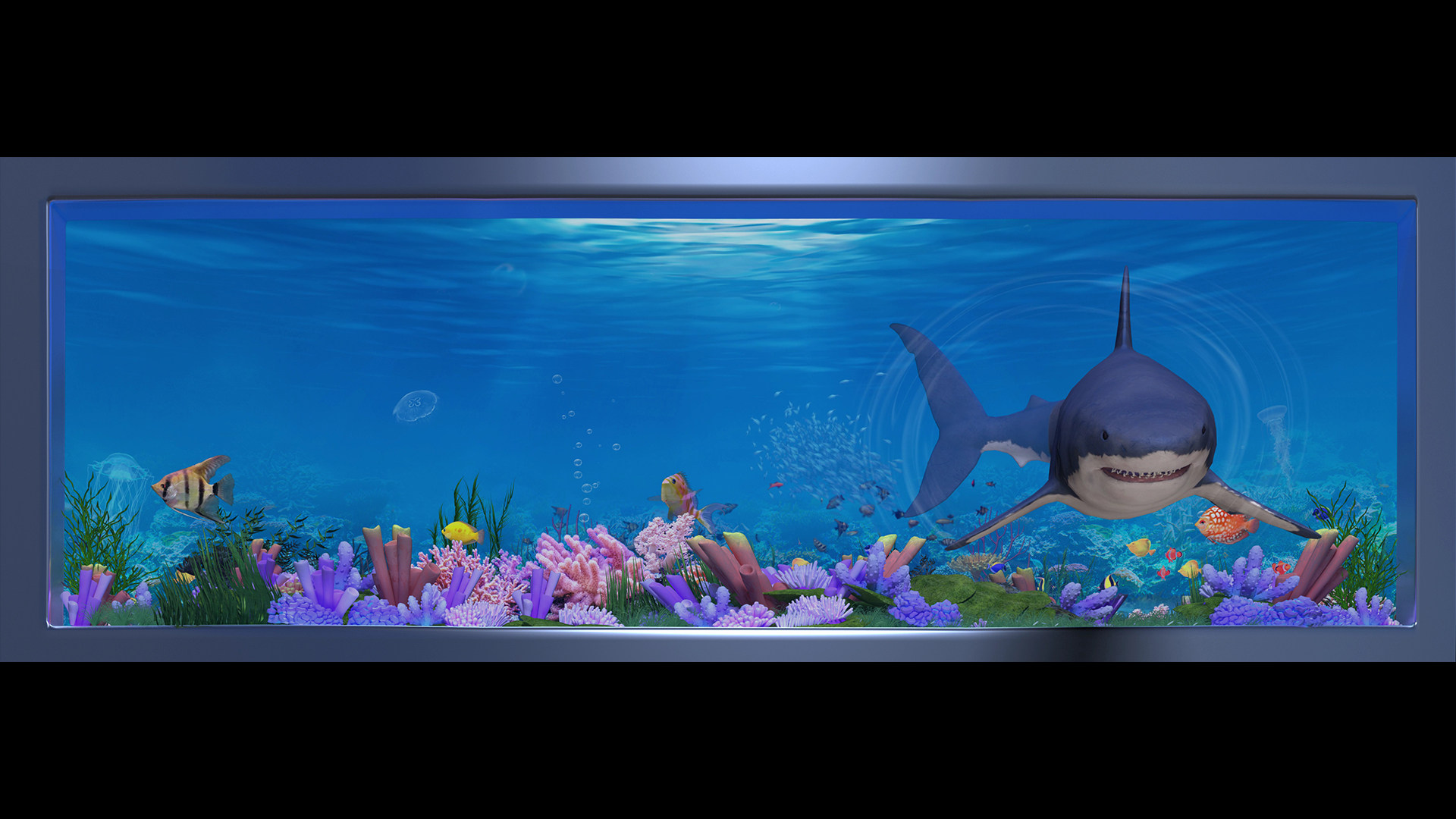 37sy户外新鲨鱼鱼缸水族馆海底世界沉浸式视频素材新品促销