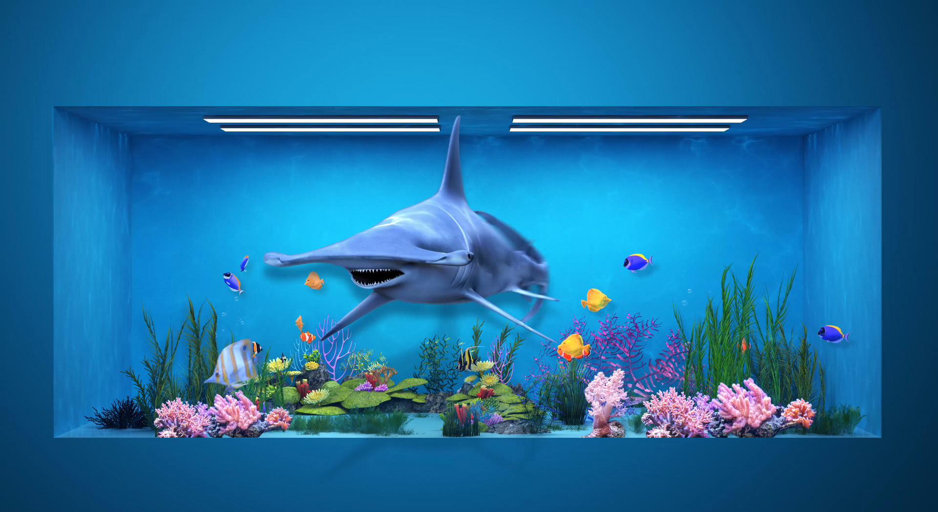 30kj室内鱼缸4k鲨鱼出框水族馆裸眼沉浸式led显示屏视频素材