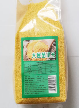 东北大金苗黄小米粗粮粥杂粮