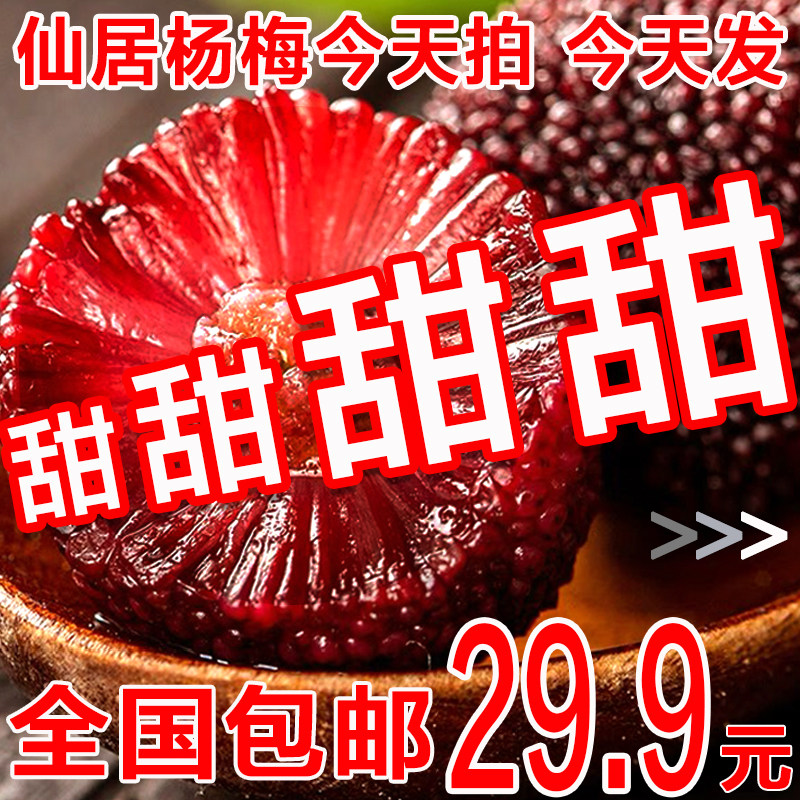 杨梅鲜果东魁杨梅新鲜水果现摘现发超甜专用泡酒特大正宗仙居杨梅