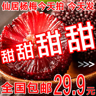 杨梅鲜果东魁杨梅新鲜水果现摘现发超甜专用泡酒特大正宗仙居杨梅