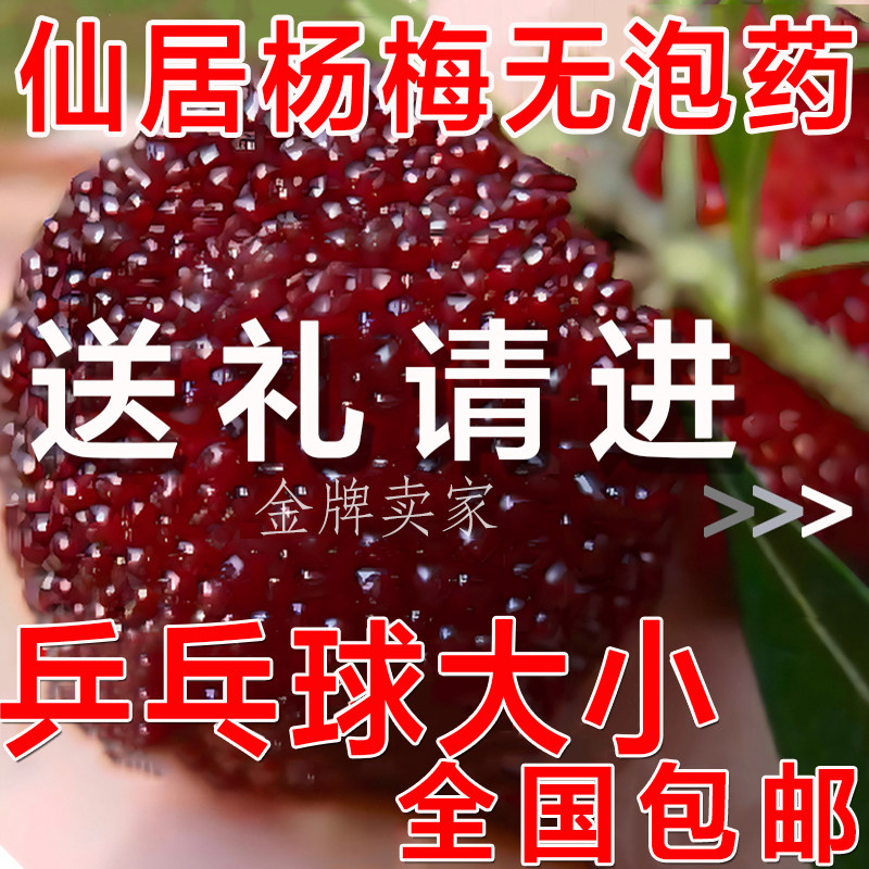 仙居杨梅鲜果新鲜杨梅现摘现发超甜大果送礼特大浙江仙居东魁杨梅