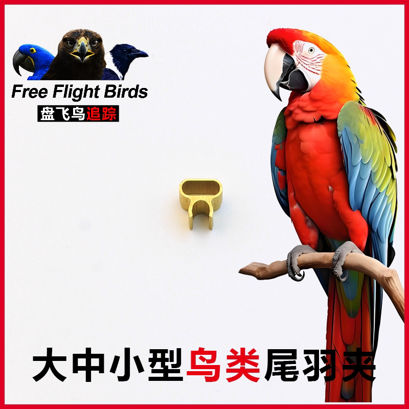 盘飞鸟鹦鹉鸦科用尾夹追踪GPS定位器遥控电子铃铛渡鸦训金刚放飞
