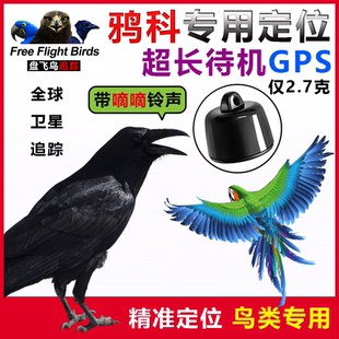 渡鸦科红嘴山鸦白颈秃鼻大小嘴乌鸦鹦鹉GPS定位器宠物鸟类追踪器